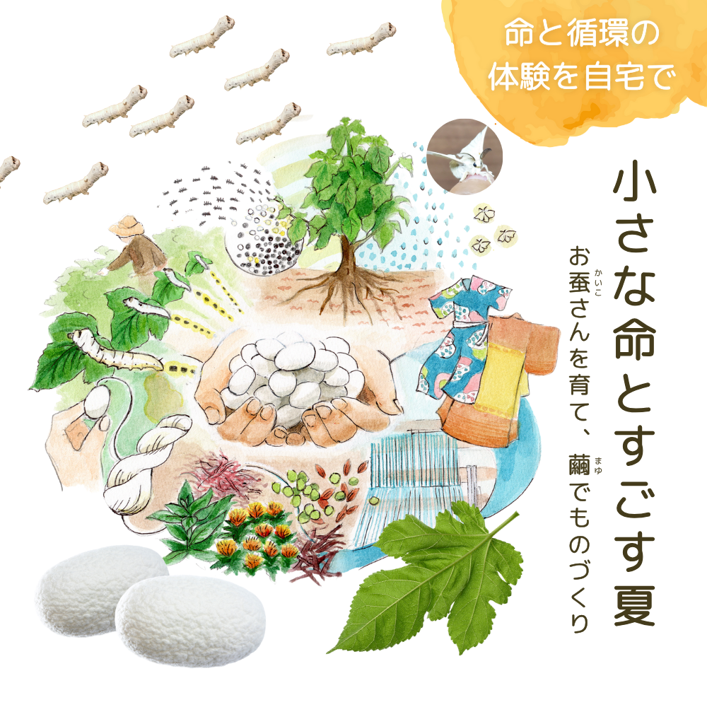 命と循環を感じる蚕飼育プログラム