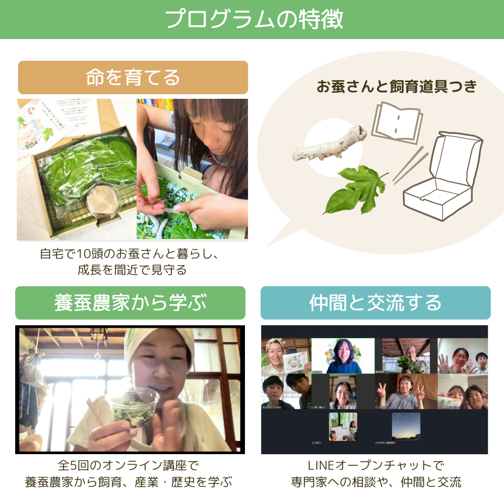 命と循環を感じる蚕飼育プログラム