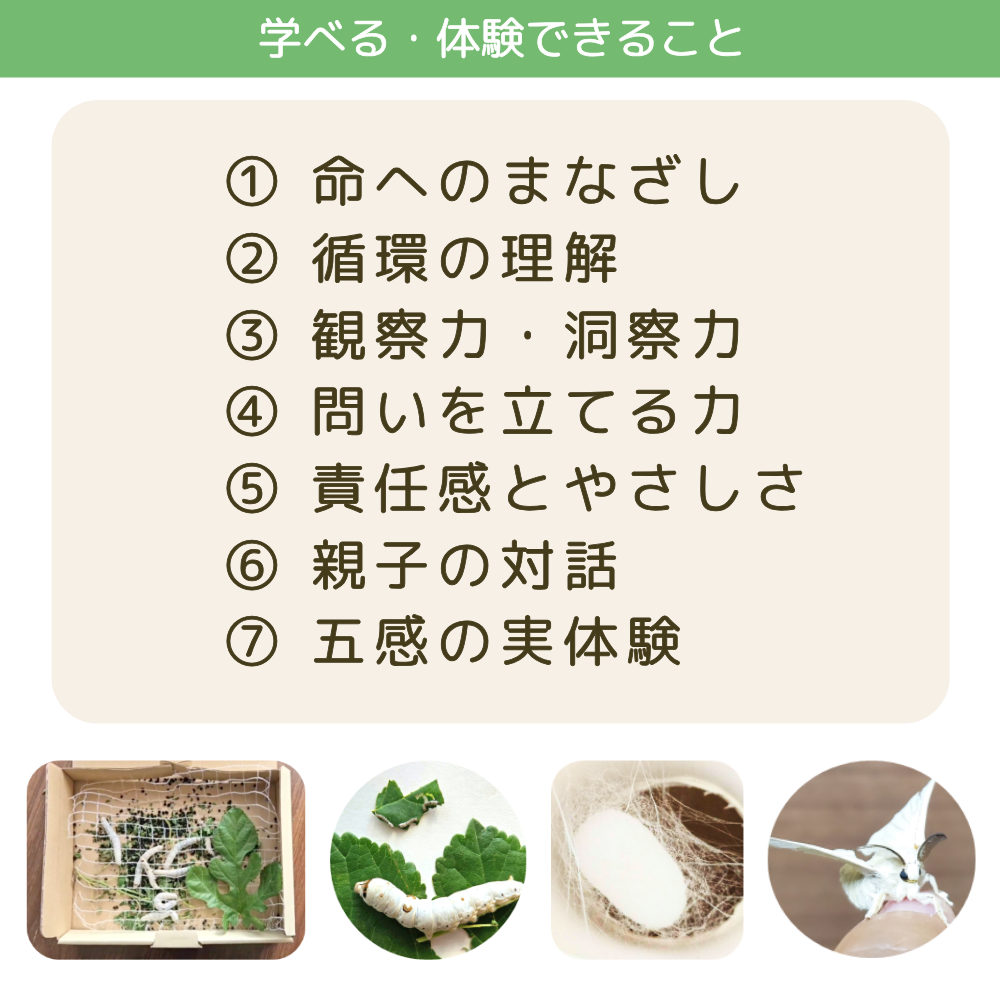 命と循環を感じる蚕飼育プログラム